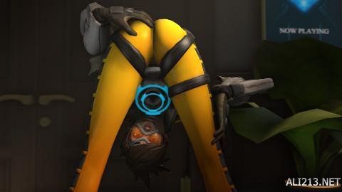 不可撼动的 不可撼动的