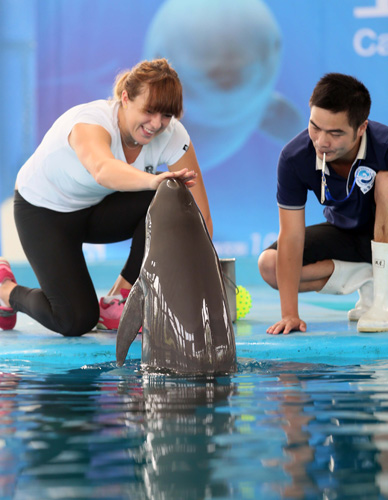 踌躇不决 踌躇不决